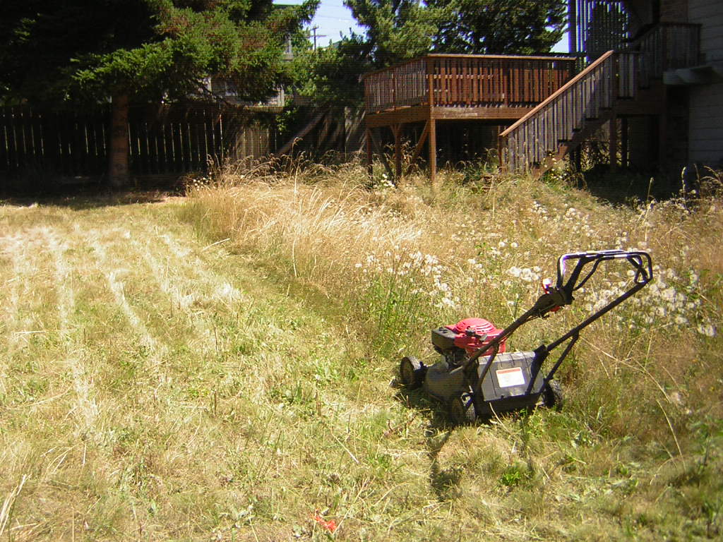 Image result for worst lawn mowing ever